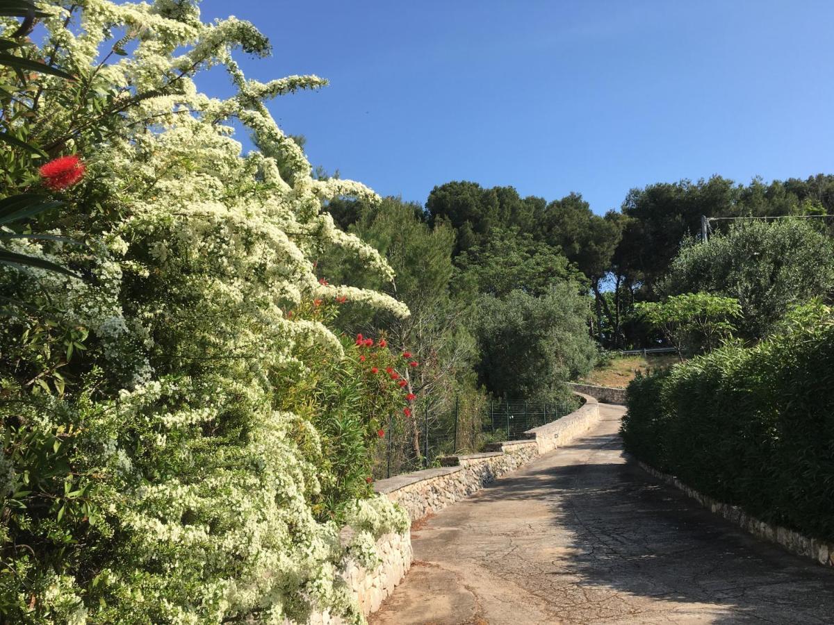 Il Quieto Uliveto Villa Ostuni Exterior photo