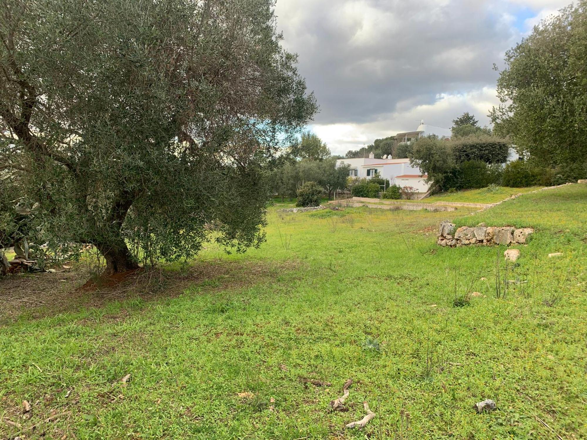 Il Quieto Uliveto Villa Ostuni Exterior photo